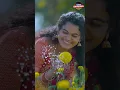 Lagu Sinthakindi Salaine Jajimogilali | Folk Song 2025 | Singer Shirisha, Karthik Reddy | #Shorts
