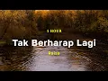 [1 Hour] Tak Berharap Lagi - Raisa