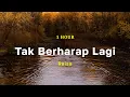 Lagu [1 Hour] Tak Berharap Lagi - Raisa