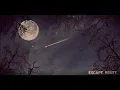 Matt Lange - Clever Girl