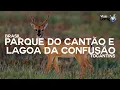 Lagu PARQUE DO CANTÃO E LAGOA DA CONFUSÃO - TOCANTINS | BRASIL | Série Viaje Comigo