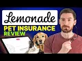 Download Lagu Lemonade Pet Insurance Review | Pros, Cons \u0026 Claims (My HONEST Experience)