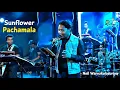 Lagu Pachamala Poovi | Neil Warnakulasuriya | Sunflower | Araliya Rice Mill | නීල් වර්ණකුලසූරිය 