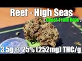 Reef - High Seas