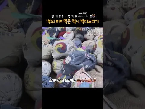 [#shorts] 가을 하늘은 가득 채운 콩주머니들🎊 1부의 마지막은 역시 박터트리기 [그땐 그랬지: 가을 운동회]
