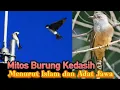 Download Lagu Mitos Burung Kedasih Menurut Islam dan Adat Jawa @al-warschannel