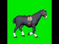 Download Lagu Mentahan Green Screen Kuda berjalan 🐎#kuda #hewan #hewanpeliharaan #animal #horse