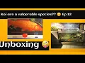 Download Lagu Koi classed as Vunreable species ?? Why ??🤨🫤🤨🫤 Ep.. 12