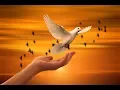 Download Lagu Ek Tu Hi Bharosa Full Prayer song with lyrics, cover by Atreyee Ray