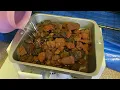 Unboxing Setting Up the Midwest Grow Kits Ecosphere 2 0