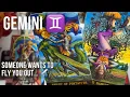 Download Lagu GEMINI ♊️ SOMEONE WANTS TO FLY YOU OUT TO HAWAII 🌸 TO PROPOSE 💍