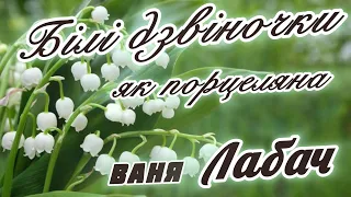 БІЛІ ДЗВІНОЧКИ ЯК ПОРЦЕЛЯНА ВАНЯ ЛАБАЧ Vanja Labach 