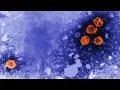 Chaos and turmoil CDC vaccine panel revamped by RFK Jr takes up hepatitis B Vote