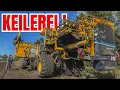 Download Lagu 542: Gei*er Keiler 🐗 in den Kartoffeln 😅 | Wir nehmen euch mit Packware liefern 🤝🥔