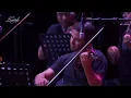 The audience singing Macha'er:  الجمهور يغني مشاعر لشرين