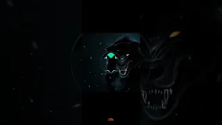 اغنيه الذئب الاسود 