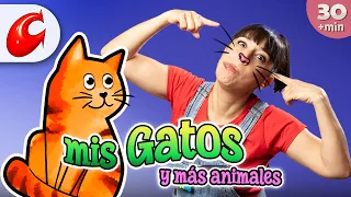 🐈‍⬛​😻​​ Mis gatos y mas animales  😹​🐈  CantaJuego   | Música Infantil y Canciones para niños