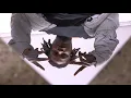 Download Lagu Yank - Nuggetz Freestyle (dir. by @N.B)