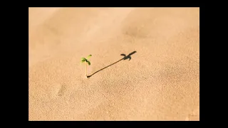 58 سورة المجادلة القارئ عبدالرحمن الماجد 