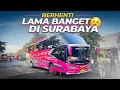 Download Lagu Ditinggal Bus Balik Garasi, 7 Jam Di Terminal Ngapain Aja?? Tiara Mas Jakarta Bima #3 