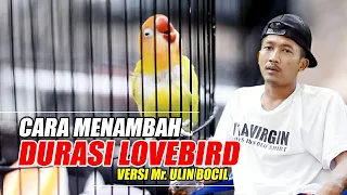 Download Penjelasan tentang menambah Durasi love bird MP3