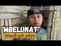 Download Lagu SARIMEN NDELODOK || kompilasi best shorts sarimen