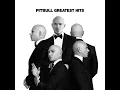 Hotel Room Service - Pitbull