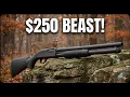Top 10 Best Budget Shotguns Don t Let the Price Fool You