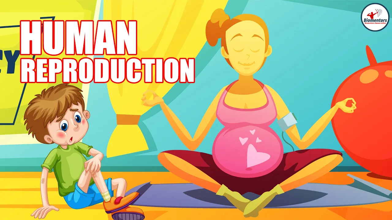 Human Reproduction l Lecture 17 l Biology l NEET