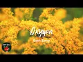 Beach Bunny - Oxygen (Lyric video)