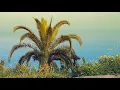 Blank & Jones - Melancholy (Official Video)