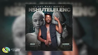 tribby wadi bhozza sannere u0026 memie nxuteleleng feat king salah and kid bee official audio