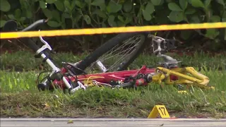 Bicyclist dies after being struck by car in Sunrise