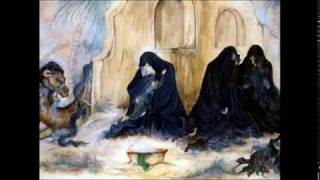 سیدجواد ذاکر پرچمی بر قله عالم زدند زینبیون پادشاه عالمند 