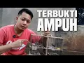 Download Lagu Cara Mudah Menaikan Birahi Burung Prenjak Kepala Merah