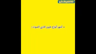 أشهر أنواع طيور كناري الصوت 