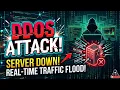 What is a DDoS Attack Full Breakdown HNCKER