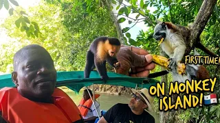 My First Time on Monkey Island in Panama (Unforgettable Experience!)