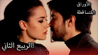 علي يريد تقبيل نيكلا الأوراق المتساقطة الحلقة 210 