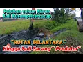 Download Lagu Excavator babat habis hutan belantara yang menutupi aliran kali kutaampel batujaya