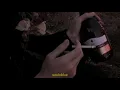 Por dentro - Junior H ft. Ed Maverick [letra]