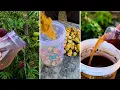 I Used Banana Peel Fertilizer for a Month The Results Were SHOCKING