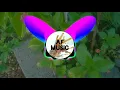 Download Lagu AF Music - My Life