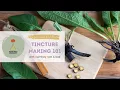 Tincture Making 101 Learn to Make a Fresh Plant Tincture of Comfrey Root Using Ratios