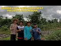 Download Lagu HINDI KAMI NAGPAPANGITA NG AKING KAPATID @bomboyvlogs3518 PALAGING BUSY SA GAWAIN PAMIMITAS TALONG