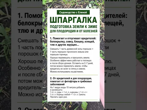 Подготовка земли к зиме от вредителей и от фитофторы и др  болезней