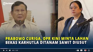 Prabowo Curiga, DPR Kini Minta Lahan Bekas Karhutla Ditanam Sawit Diusut