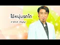 ไอ้หนุ่มรถไถ - สายัณห์ สัญญา (Official Audio)