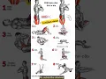 Download Lagu The Ultimate Kegel Workouts For Men #kegelExercises #PelvicFloorWorkout #HomeExercise #FitnessTips
