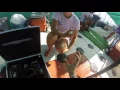 Dolphins gastroscopy teaching program www endovet com
